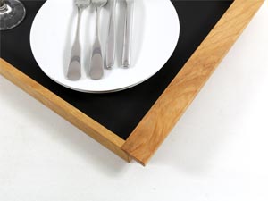 Tabletts wilde Buche category icon/image